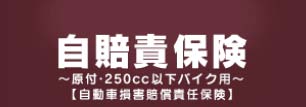 ӕی`tE250ccȉoCNp`yԑQӔCیz