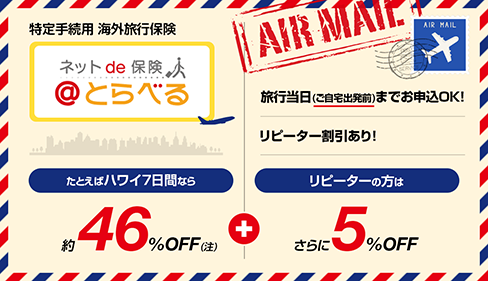 インターネット専用海外旅行保険